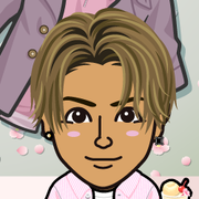 *���������*